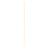 Tige 1 m D'extension Laiton CASAFAN 991083