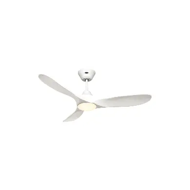 Ventilateur Plafond LED Genuino 122cm Blanc Blanc CASAFAN 312273
