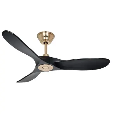 Ventilateur Plafond Genuino 122cm Laiton Noir CASAFAN 312233