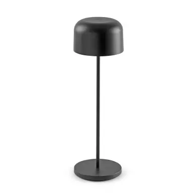 Lampe extérieur MAVIS Noir 3W SMD LED FARO 71928