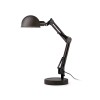 Lampe Architecte Industrielle BAOBAB 1x11W E14 Noir FARO 51909