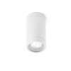 Plafonnier extérieur Olot Blanc 1xGU10 MAX 35W FARO 71372