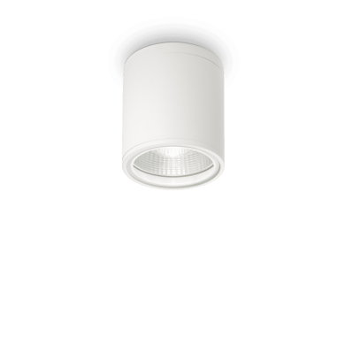 Plafonnier extérieur GUN Blanc 1x28W IDEAL LUX 122663