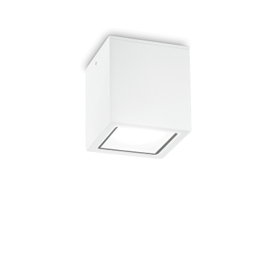 Plafonnier Extérieur TECHO Blanc 1x20W H16 IDEAL LUX 251523