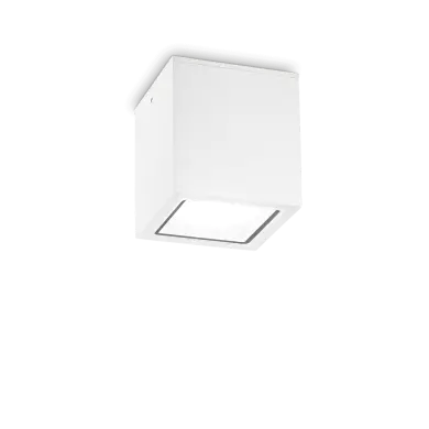 Plafonnier Extérieur TECHO Blanc 1x20W H16 IDEAL LUX 251523
