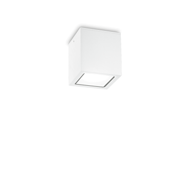 Plafonnier Extérieur TECHO Blanc 1x20W H9,5 IDEAL LUX 251561