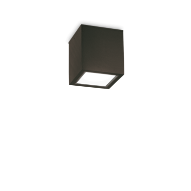 Plafonnier Extérieur TECHO Noir 1x20W H9,5 IDEAL LUX 251578
