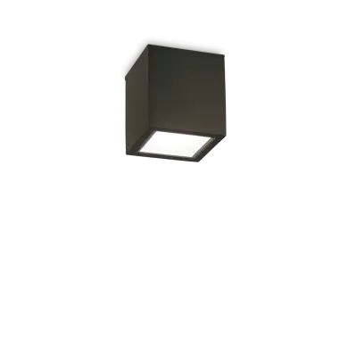 Plafonnier Extérieur TECHO Noir 1x20W H9,5 IDEAL LUX 251578