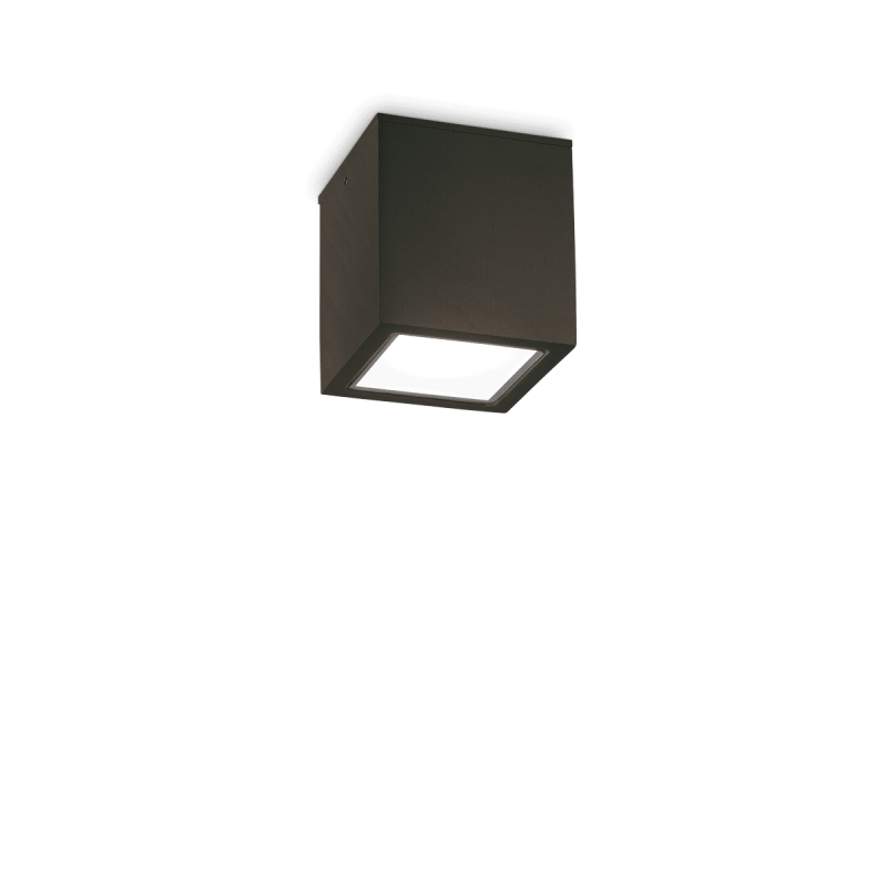 Plafonnier Extérieur TECHO Noir 1x20W H9,5 IDEAL LUX 251578