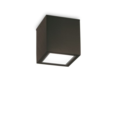 Plafonnier Extérieur TECHO Noir 1x20W H16 IDEAL LUX 251530
