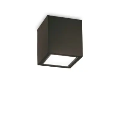 Plafonnier Extérieur TECHO Noir 1x20W H16 IDEAL LUX 251530