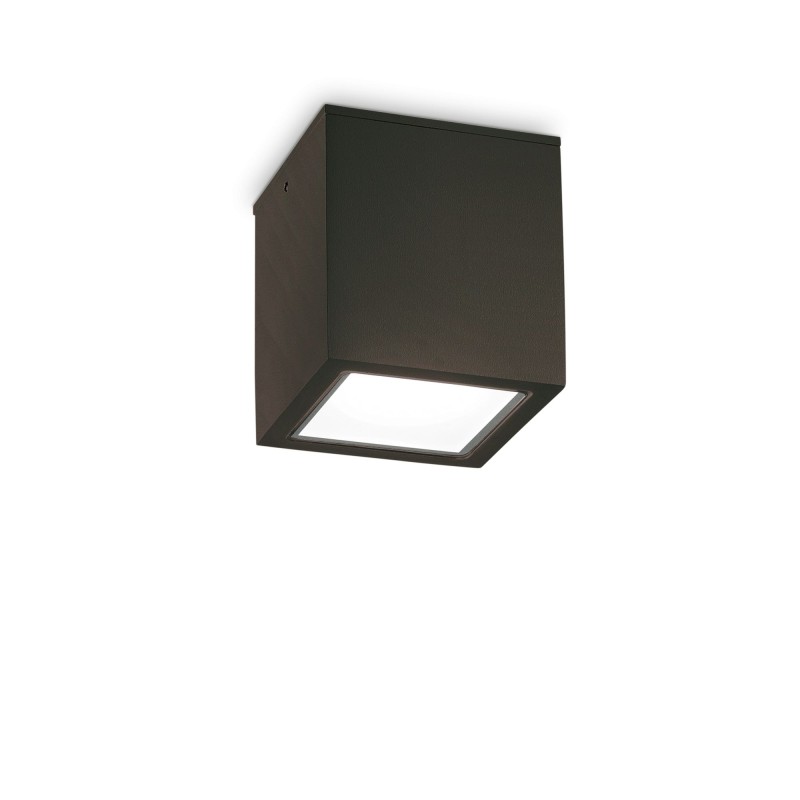 Plafonnier Extérieur TECHO Noir 1x20W H16 IDEAL LUX 251530