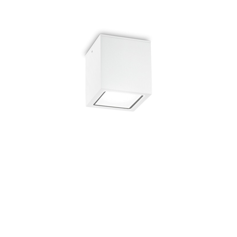 Plafonnier Extérieur TECHO Blanc 1x20W H9,5 IDEAL LUX 251561