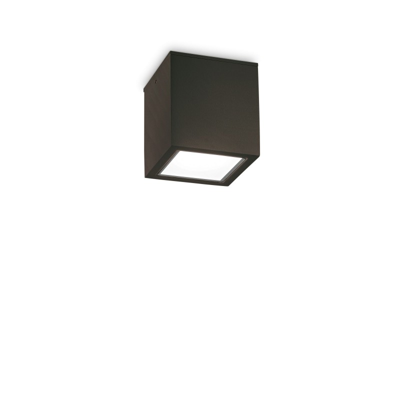 Plafonnier Extérieur TECHO Noir 1x20W H9,5 IDEAL LUX 251578