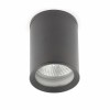 Plafonnier gris foncé TASA FARO 70806
