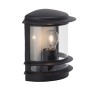 Applique extérieur HOLLYWOOD noir 1x60W BRILLIANT 47880/06