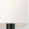 Applique BRIANNA 2x60W MAX E14 Noir ELSTEAD LIGHTING FE-BRIANNA2-BK