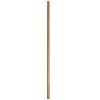 Tige 1 m D'extension Laiton CASAFAN 791083