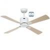 Ventilateur plafond Eco Neo III 103cm Blanc Érable et hêtre 0-10 Volts CASAFAN 9431211