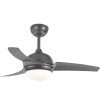 Ventilateur de Plafond NEWTON 107cm Anthracite BOUTICA DESIGN 75313