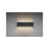 Applique Concha Anthracite 2x6W SMD LED TRIO LIGHTING 225172942