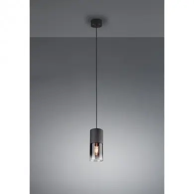 Suspension Robin Noir Mat 1x28W E27 TRI_310600132 310600132 Suspension Robin Noir Mat 1x28W E27 TRIO LIGHTING 310600132
