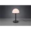 Lampe de table Berlin Noir Mat 1x4W SMD LED TRIO LIGHTING 527590132