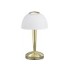 Lampe de table Ventura Laiton Poli 1x4W SMD LED TRIO LIGHTING 529990103