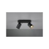 Plafonnier Pago Noir Mat 2x35W GU10 TRIO LIGHTING 803500232