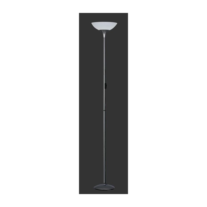 Lampadaire Dezwo Titane 1x100W E27 REALITY R4302-87