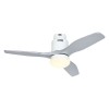 Ventilateur Plafond Aerodynamix Eco 112cm Blanc Gris argenté CASAFAN 93112324