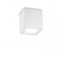 Plafonnier Extérieur TECHO Blanc 1x20W H16