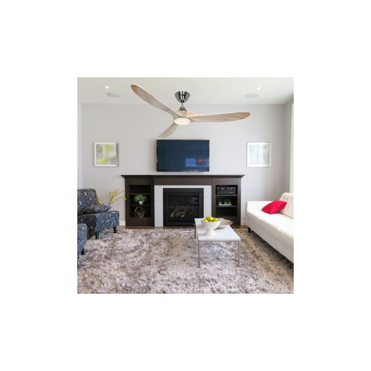 Ventilateur Plafond Aeroplan Eco 313247 | France