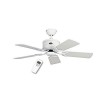 Ventilateur de Plafond Eco Elements 103cm Blanc Gris Blanc CASAFAN 510381