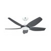 Ventilateur Plafond Eco Volare 116cm Blanc Basalte CASAFAN 511687