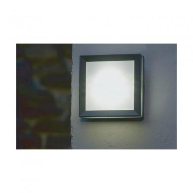 Applique Murale Exterieur Egil Graphite 1x9W GX53 EGIL1W ELSTEAD LIGHTING EGIL 1W