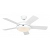 Ventilateur de Plafond Titanium 105cm Blanc CASAFAN 9510561