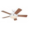 Ventilateur de Plafond Titanium 105cm Blanc Cerisier Noyer CASAFAN 9510564