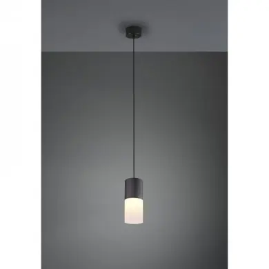 Suspension Robin Noir mat 1x28W E27 TRIO LIGHTING 310600101