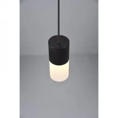 Suspension Robin Noir mat 1x28W E27 TRIO LIGHTING 310600101