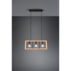 Suspension Industrielle Agra Noir mat 3x10W E27 TRIO LIGHTING 313800332