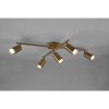 Plafonnier Marley Laiton fumé 5x35W GU10 TRIO LIGHTING 612400504
