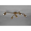 Plafonnier Marley Laiton fumé 5x35W GU10 TRIO LIGHTING 612400504