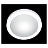 Plafonnier Salle de Bain Condus Blanc 1x60W E27 TRIO LIGHTING 6801011-01