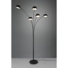 Lampadaire Boule Arqué Dito Noir mat 5x10W E14 TRIO LIGHTING R46155032