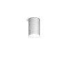 Spot TUBE 1x7W GX53 Argenté Leaf Silver D8 H10 KOLARZ A1347.11.Ag/10