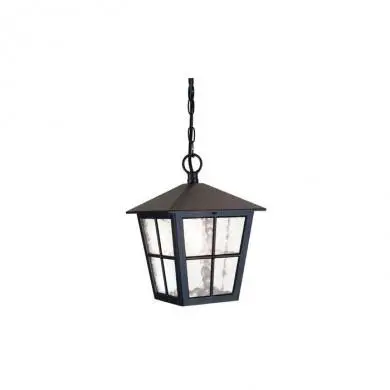 Suspension Hereford 1x100W Noir ELSTEAD LIGHTING bl48m