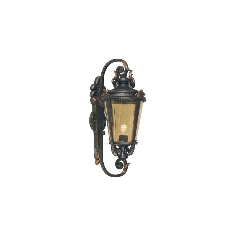 Applique exterieur Murale Baltimore 1x150W Bronze foncé ELSTEAD LIGHTING bt1l