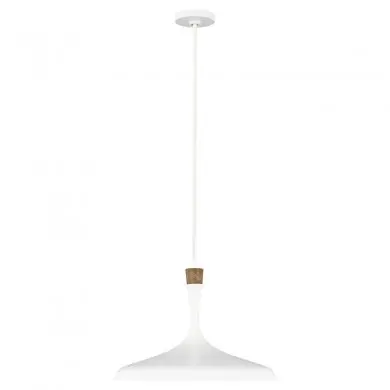 Suspension Darwin 1x60W Blanc Mat ELSTEAD LIGHTING FE DARWIN P