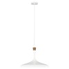 Suspension Darwin 1x60W Blanc Mat ELSTEAD LIGHTING FE DARWIN P